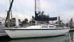 1984 Capri 25 sailboat
