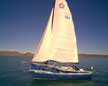 1983 Freedom 21 sailboat