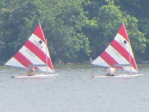 Two Vanguard Sunfish, 2005 sailboat