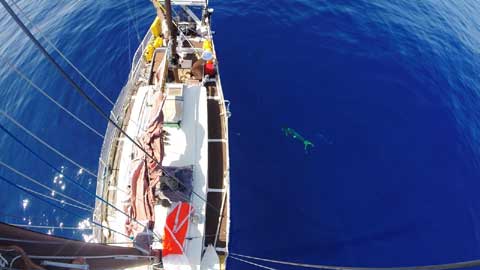 Colvin Saugeen Witch, 1978 sailboat