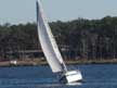 1976 Cal 2-27 sailboat