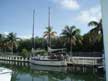 1981 Freedom 28 sailboat