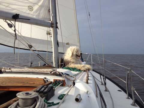 Islander 28, 1979 sailboat