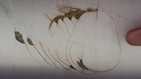 NACRA 20 (Inter 20), (Broken mast), 2000 sailboat
