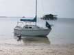 2004 West Wight Potter 19 sailboat