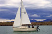 1983 ComPac 19 sailboat