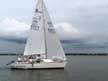 1984 S2 7.9 sailboat