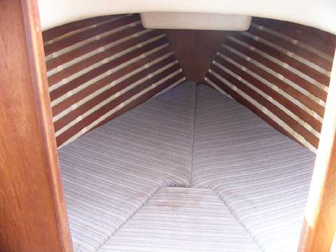 Bayfield 25