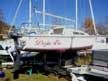 1986 Cal 22 sailboat