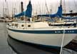1969 Cal 34 sailboat