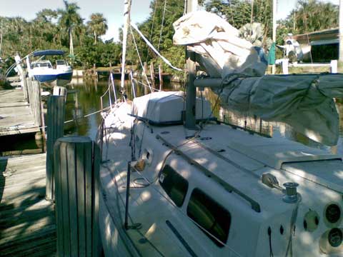 Cal 36