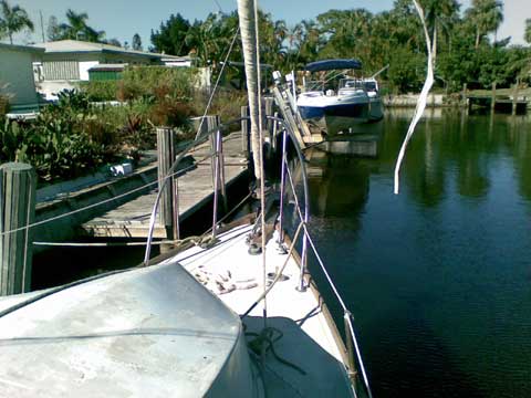 Cal 36