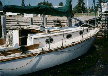 1981 Cape Dory 30 sailboat