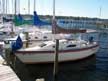 1983 Hunter 22 sailboat