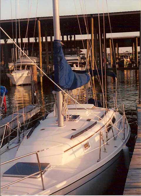Cal 31