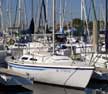 1981 Capri 25 sailboat