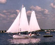 Colvin sailboats