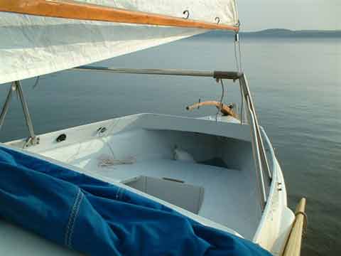 Dovekie 21