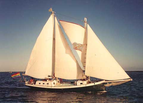Duga 40
