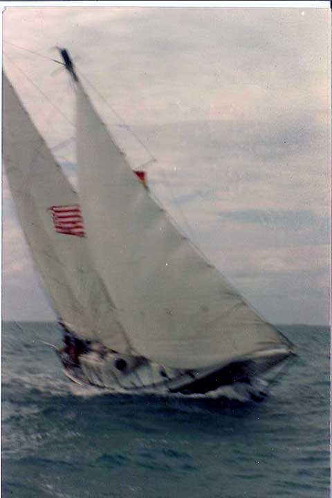 Duga 40