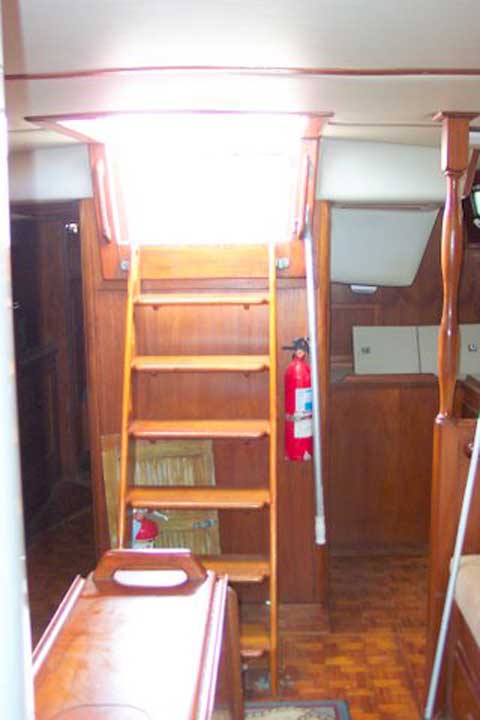 Endeavour 40