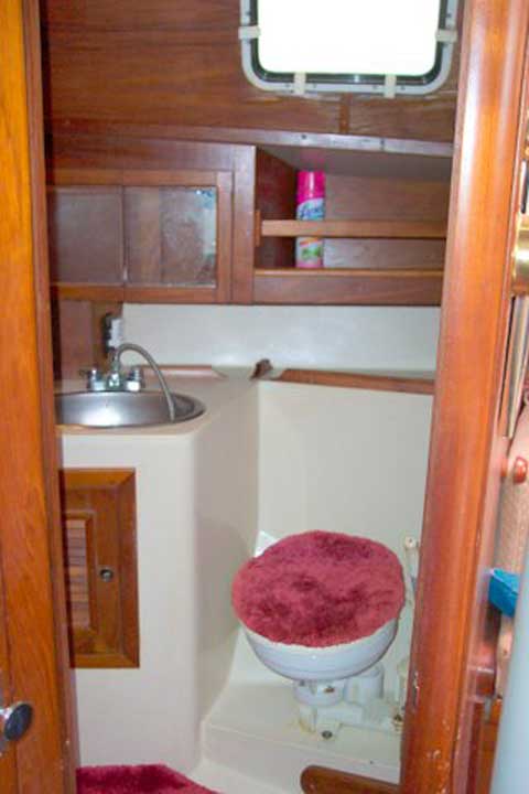 Endeavour 40