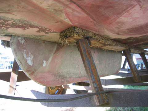 Catalina 22
