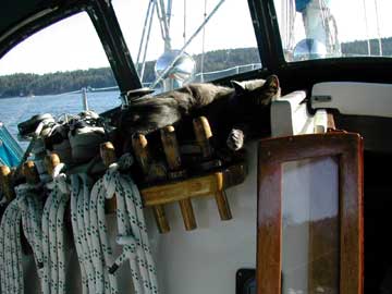 1986 Custom 50 sailboat