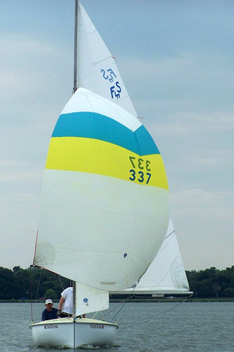Flying Scot #337