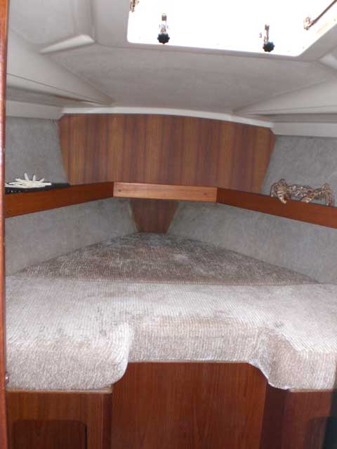 Hunter 30