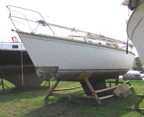 Hunter 31