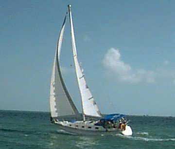 1981 Hunter 36 sailboat