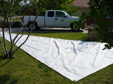 jib for sale