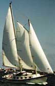 1979 Hermann 32 sailboat